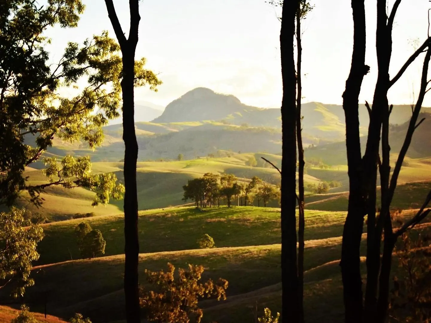 Vila Ketchup'S Bank Glamping Boonah Austrálie