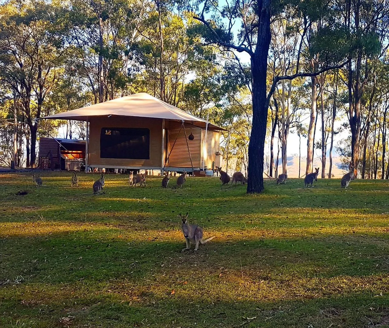 Vila Ketchup'S Bank Glamping Boonah Austrálie