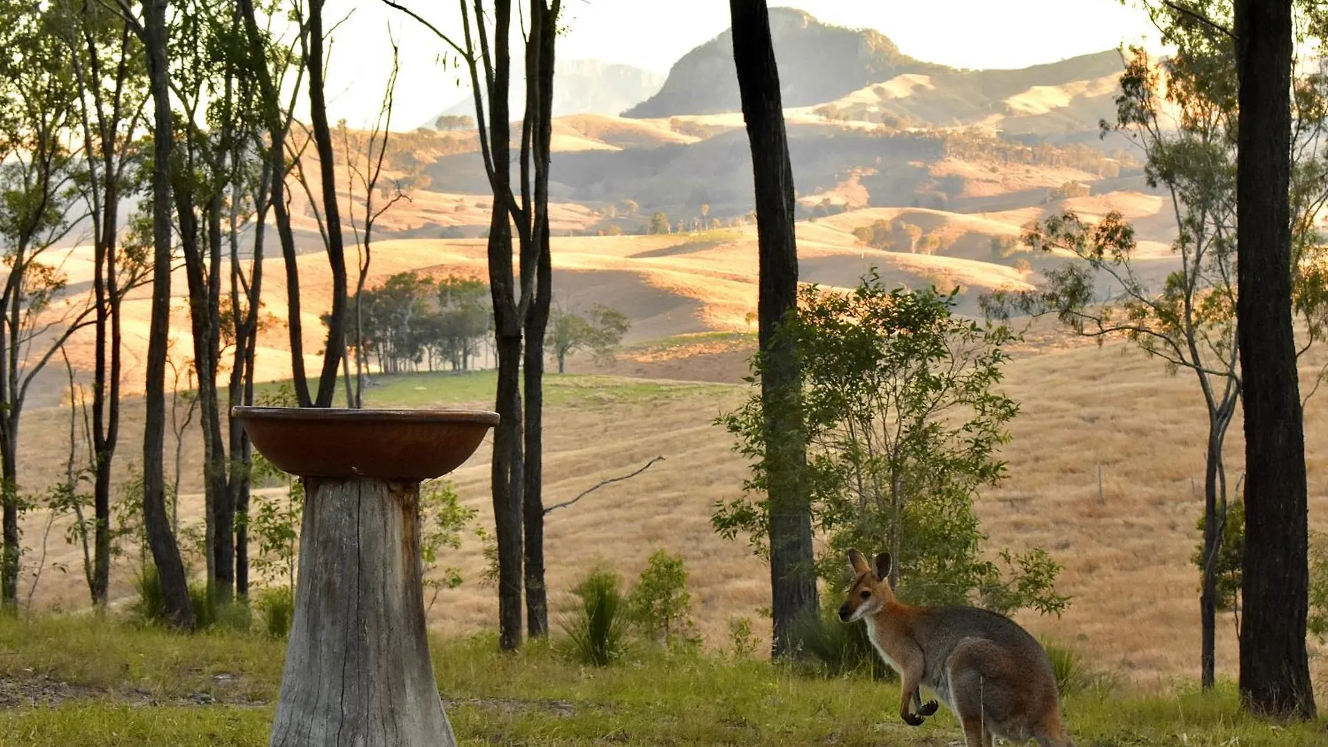 Jaktstuga Ketchup'S Bank Glamping Villa Boonah