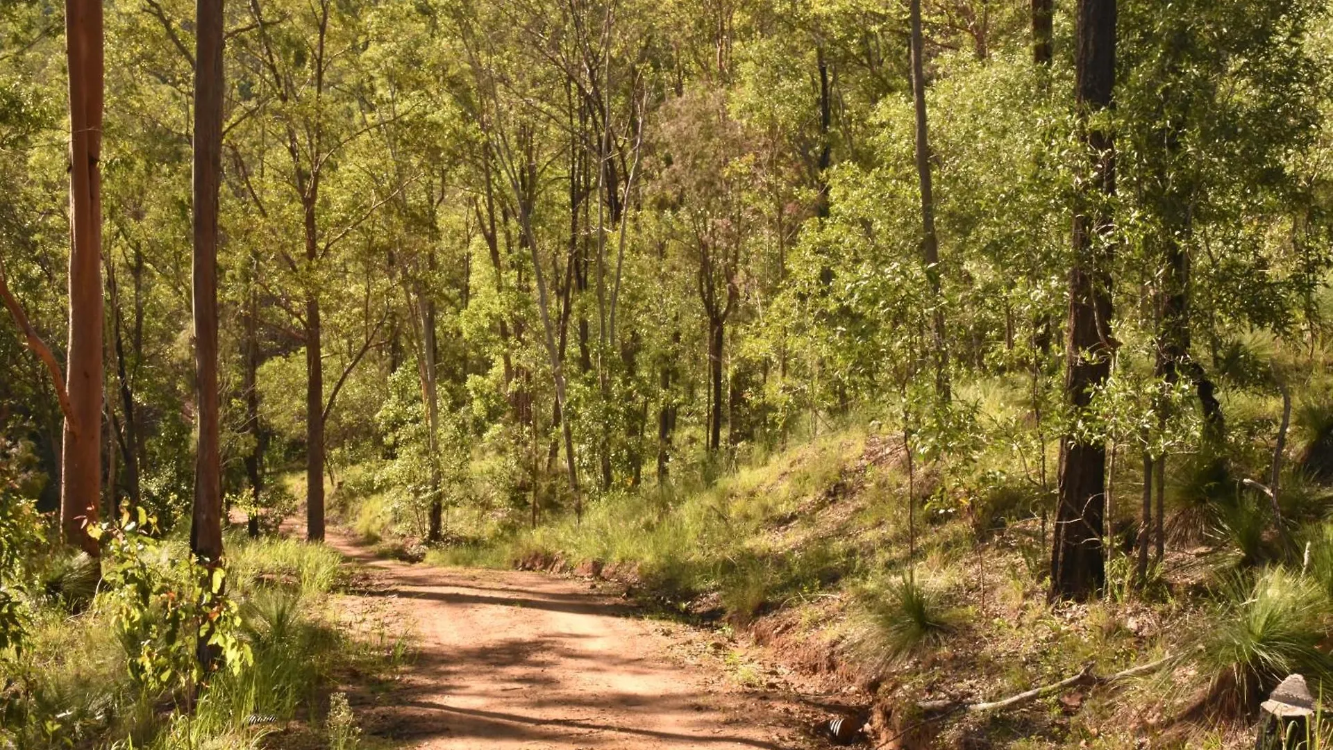 Jaktstuga Ketchup'S Bank Glamping Villa Boonah