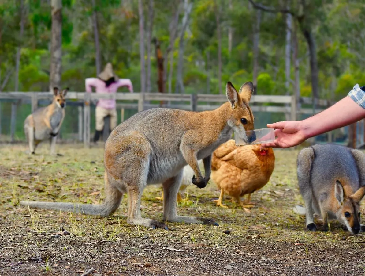 Jaktstuga Ketchup'S Bank Glamping Villa Boonah